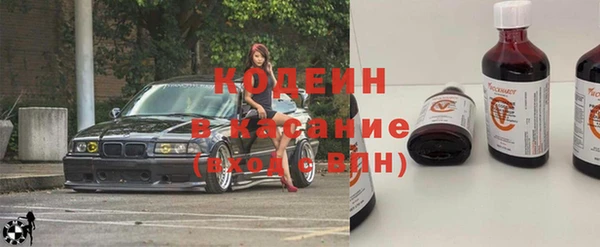 молекула духа Арсеньев