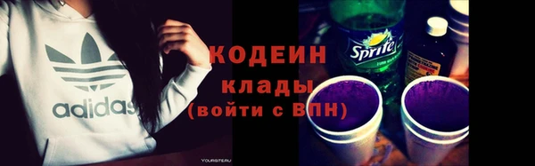 молекула духа Арсеньев