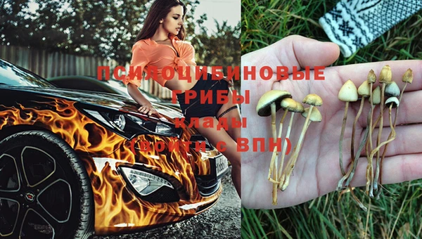 мескалин Аркадак